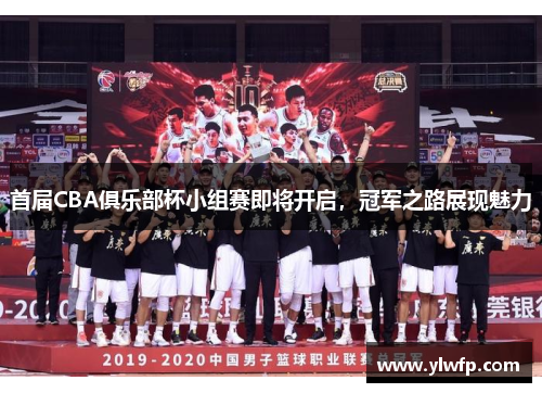 首届CBA俱乐部杯小组赛即将开启,冠军之路展现魅力